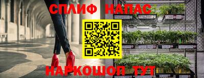 дживик Новодвинск