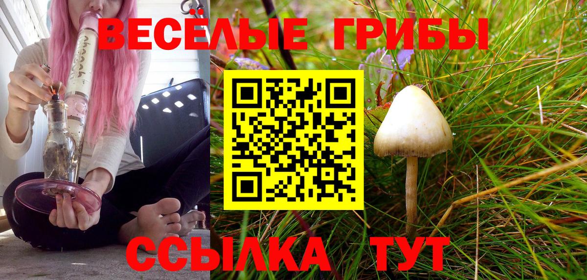 Алатырь  Галлюциногенные грибы Magic Shrooms  купить наркотики цена  Вход с VPN 